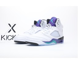 Jordan 5 Retro Grape (2025)