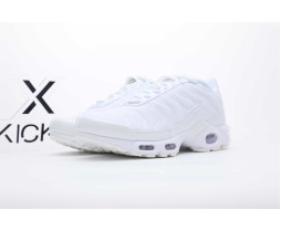 Nike Air Max Plus White Pure Platinum 