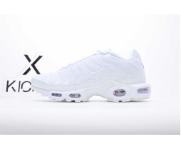 Nike Air Max Plus White Pure Platinum 