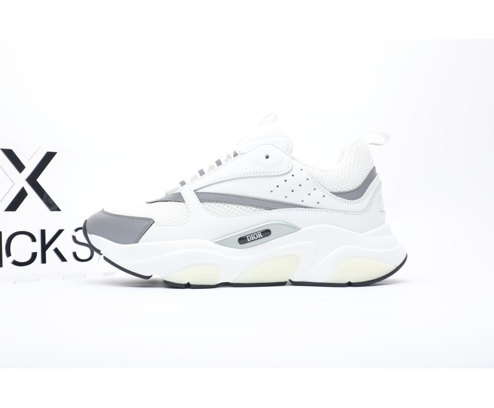 Dior B22 White Silver