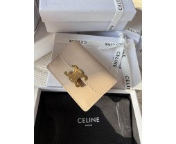 Celine 10I583 Purse Series (1)