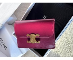 Celine 10I583 Purse Series (2)
