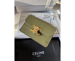 Celine 10I583 Purse Series (5)