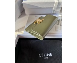 Celine 10I583 Purse Series (5)
