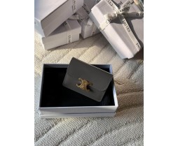 Celine 10I583 Purse Series (6)