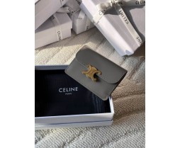 Celine 10I583 Purse Series (6)
