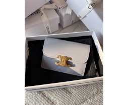 Celine 10I583 Purse Series (10)