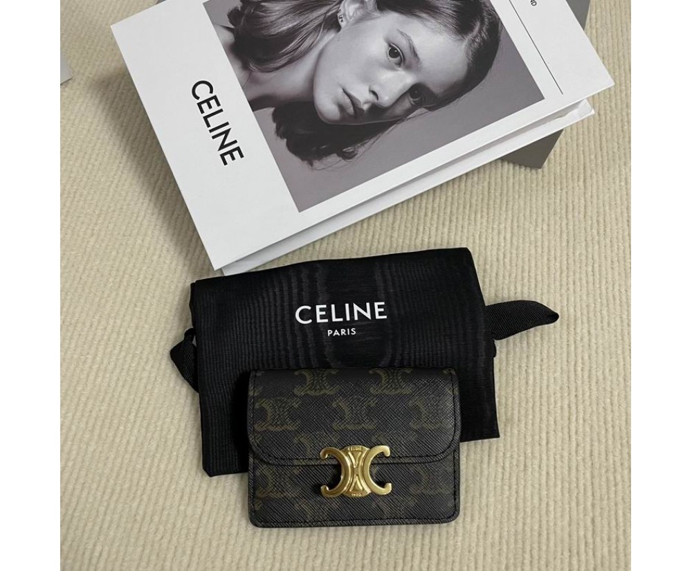 Celine 10L582 Purse