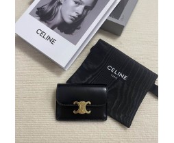 Celine 10L583 Purse Series (1)