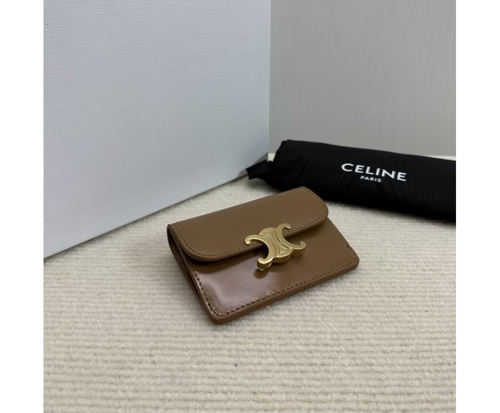 Celine 10L583 Purse Series (2)