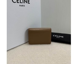 Celine 10L583 Purse Series (2)
