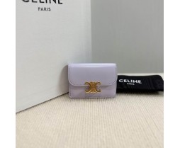 Celine 10L583 Purse Series (3)