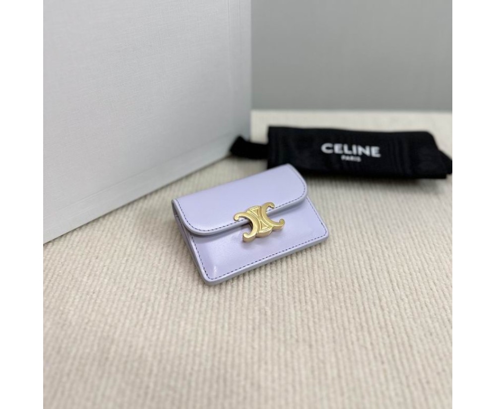 Celine 10L583 Purse Series (3)