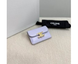 Celine 10L583 Purse Series (3)