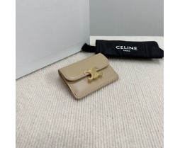 Celine 10L583 Purse Series (4)