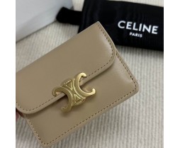 Celine 10L583 Purse Series (4)