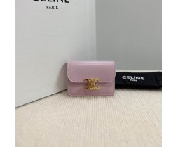 Celine 10L583 Purse Series (5)