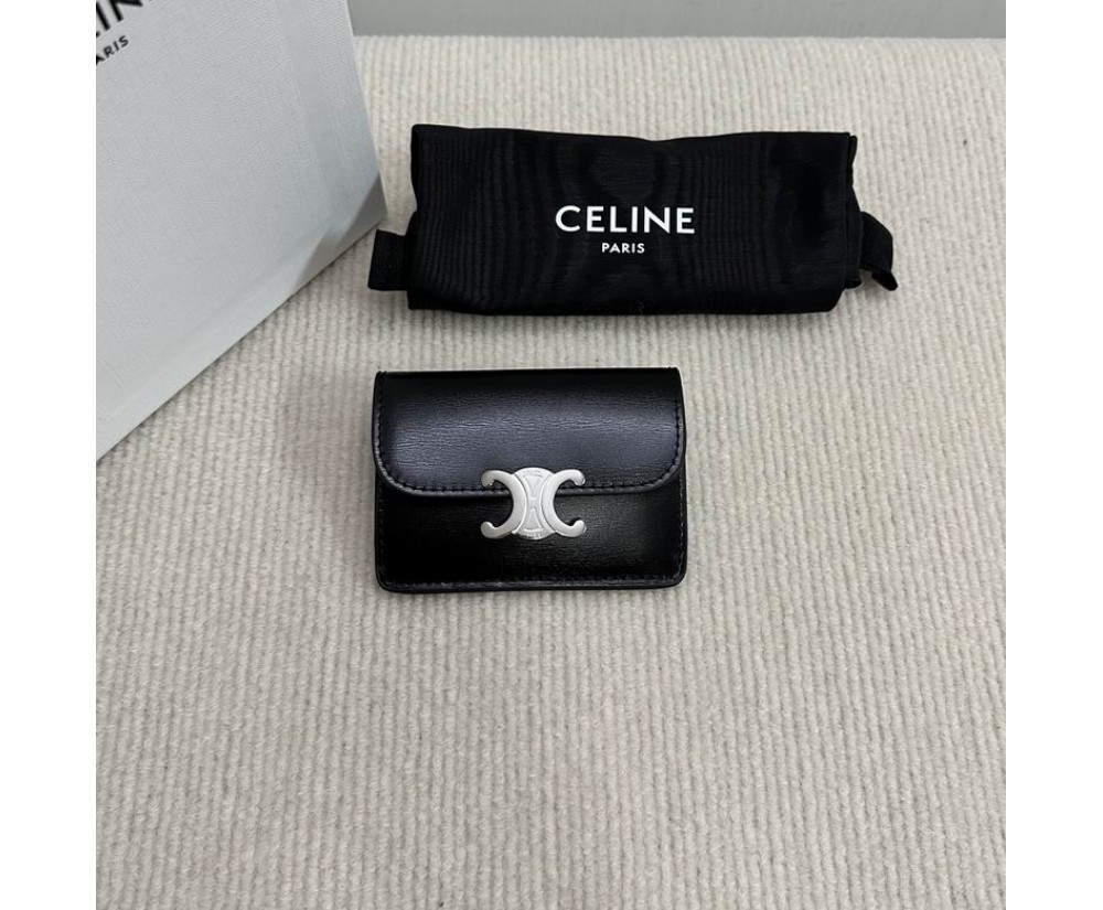 Celine 10L583 Purse Series (6)
