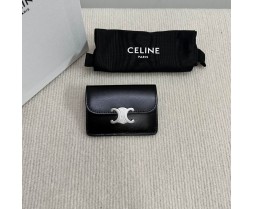 Celine 10L583 Purse Series (6)