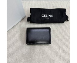 Celine 10L583 Purse Series (6)