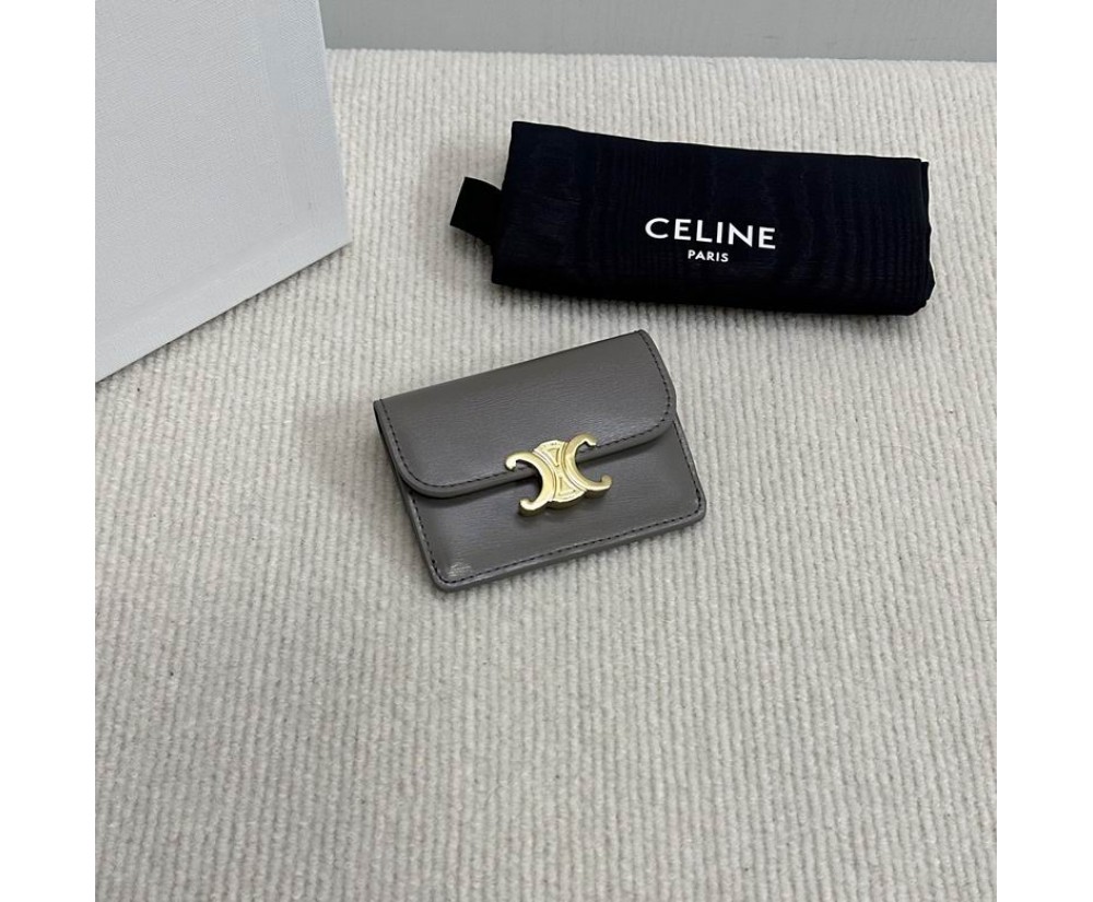 Celine 10L583 Purse Series (7)