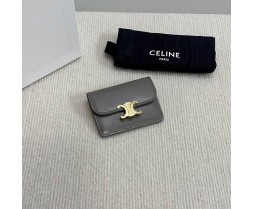 Celine 10L583 Purse Series (7)