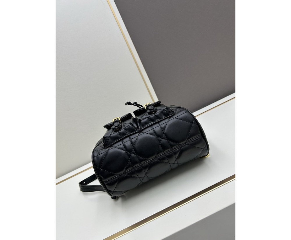Dior Backpack 16944(3)Black