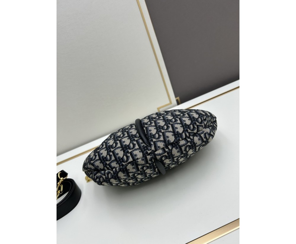 Dior Dumpling bags 1681 (1)