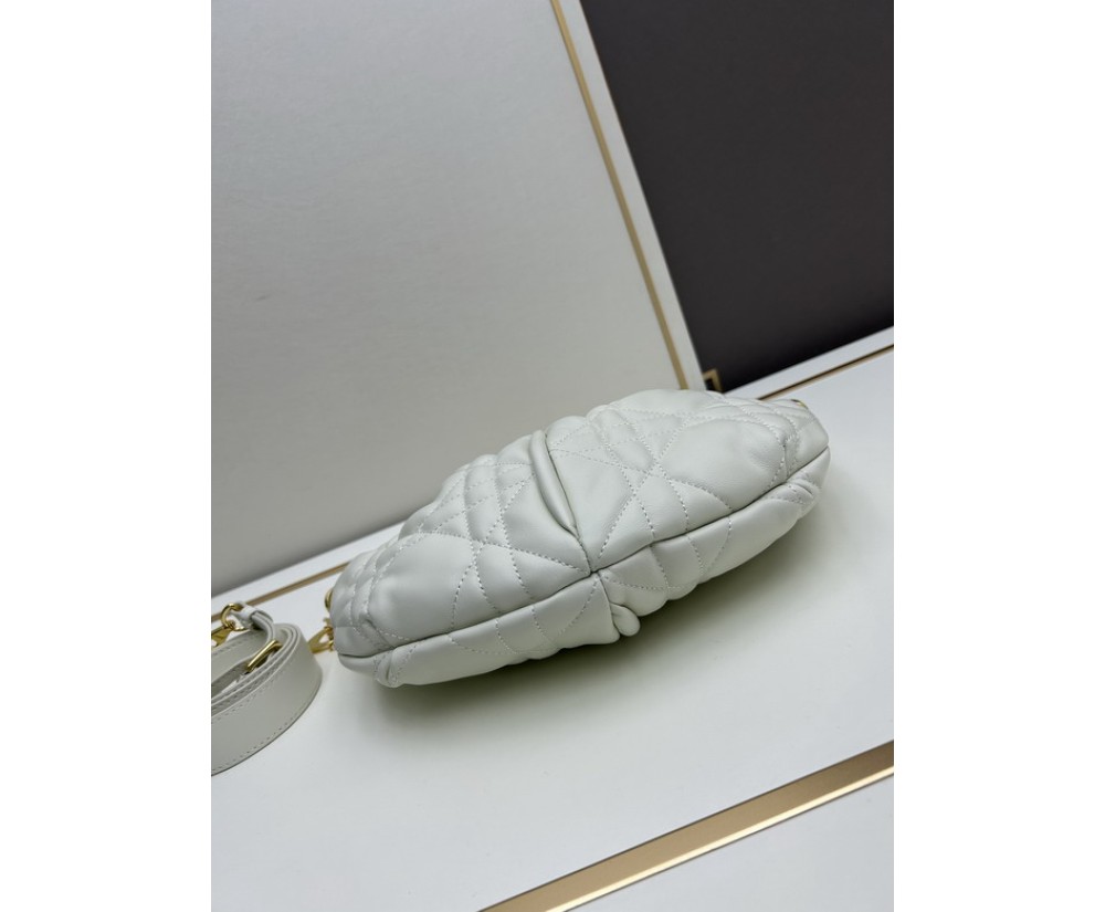 Dior Dumpling bags 1681 (3)