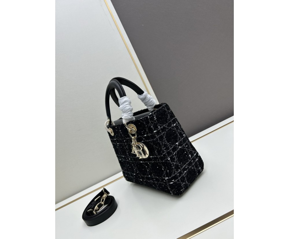 Dior Ladie 2013