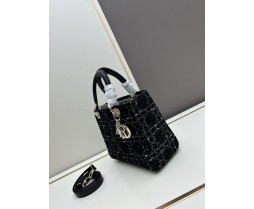 Dior Ladie 2013
