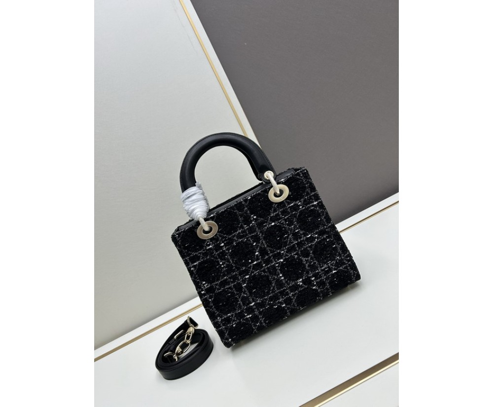 Dior Ladie 2013
