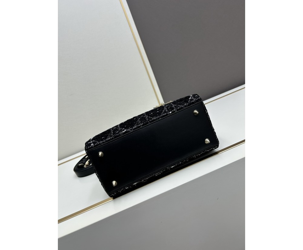 Dior Ladie 2013