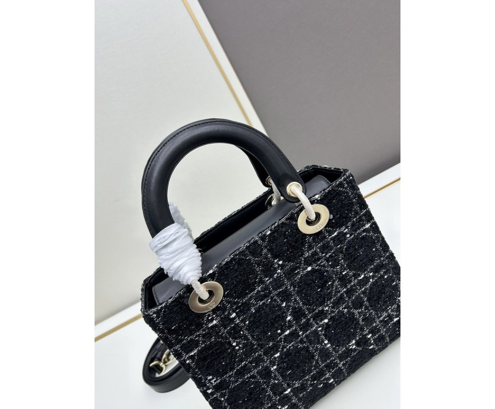 Dior Ladie 2013