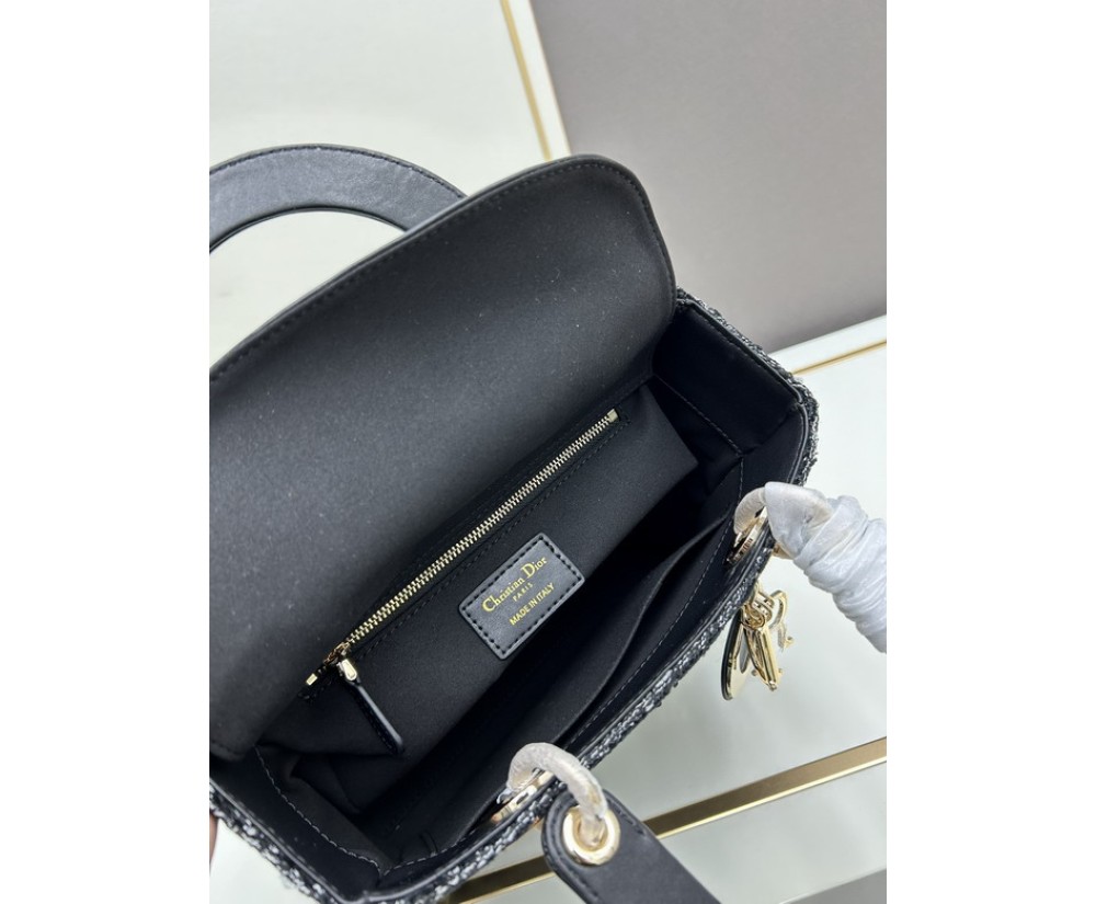 Dior Ladie 2013