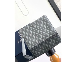 2024 Dior Hand Bag Original 23739 Series (1) 26.5*17.5
