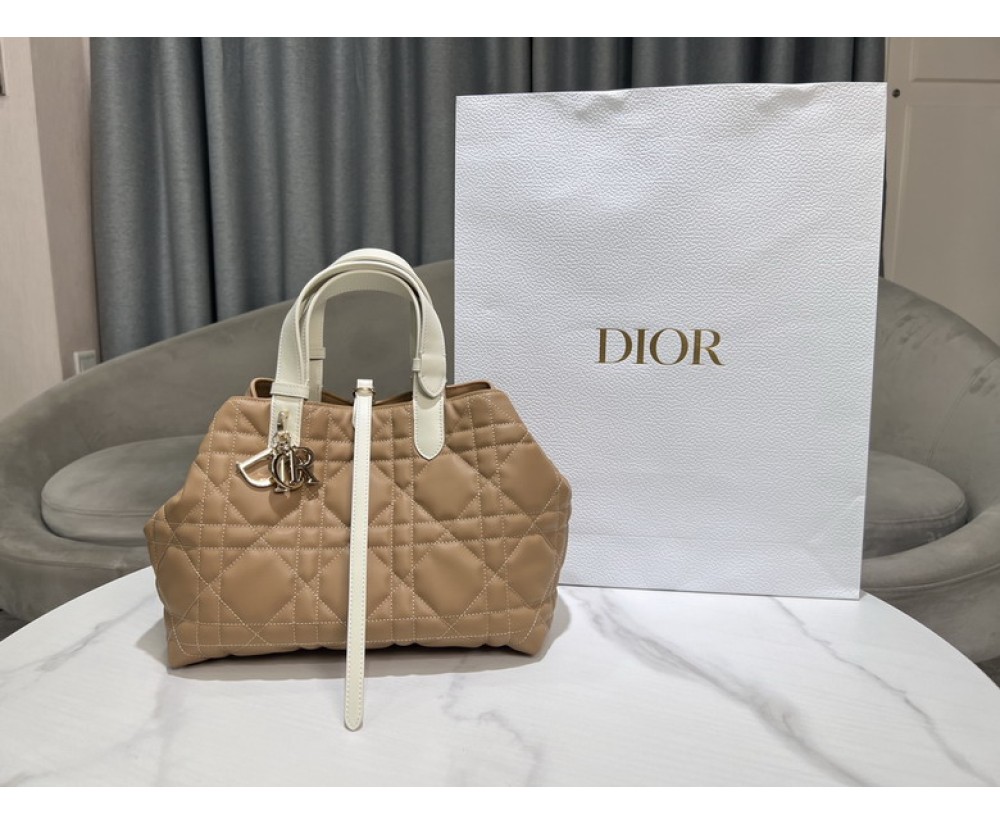 2024 Dior Toujours 2821