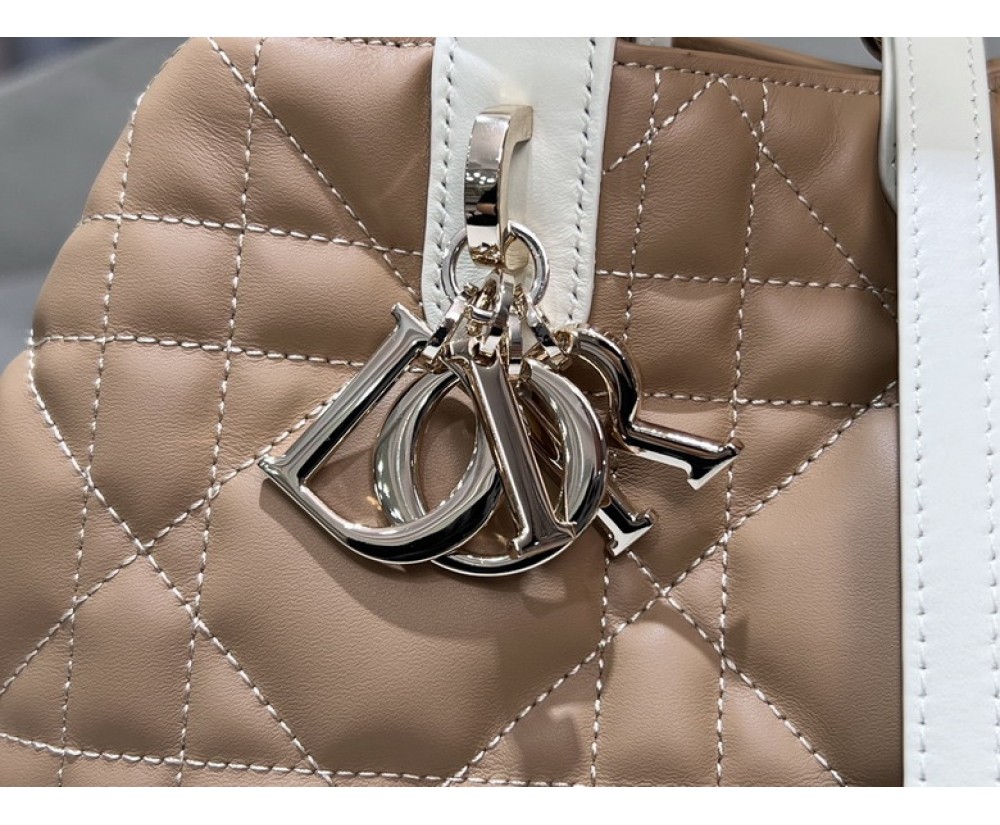 2024 Dior Toujours 2821