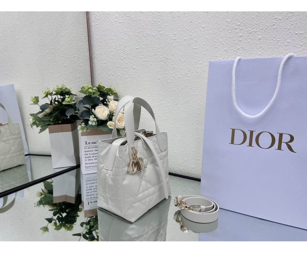 2024 Dior Toujours 031902 Series (2)