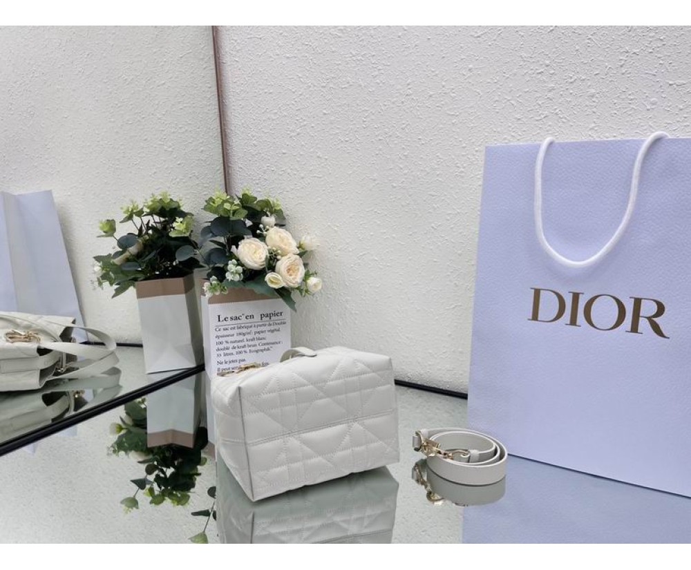 2024 Dior Toujours 031902 Series (2)