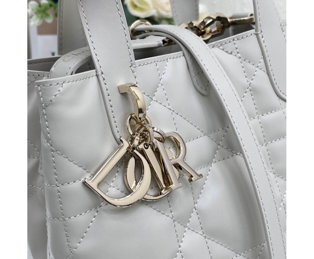 2024 Dior Toujours 031902 Series (2)