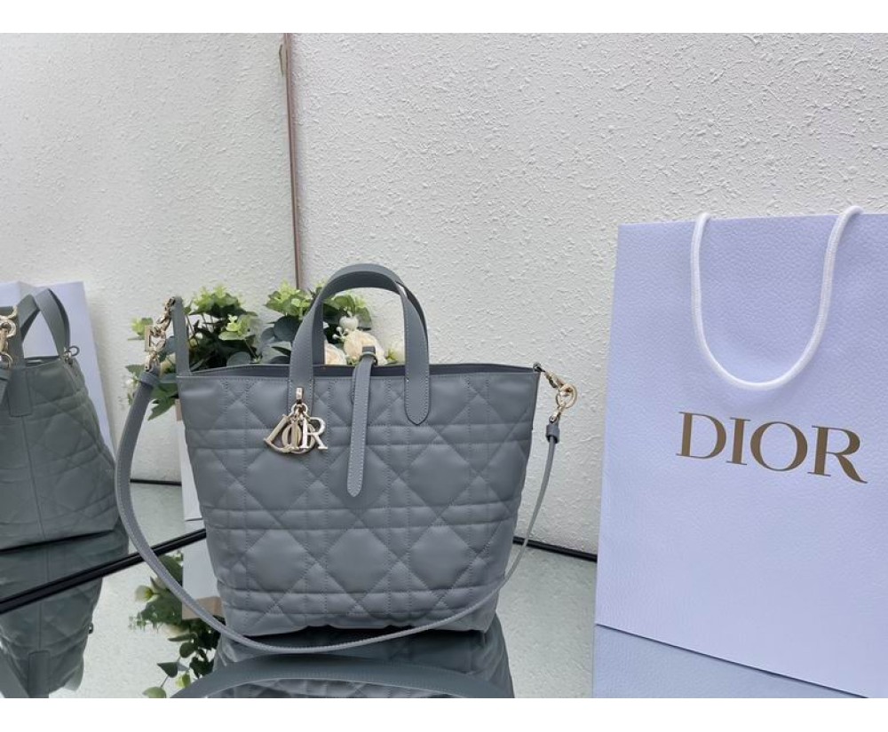 2024 Dior Toujours 031901 Series (1)