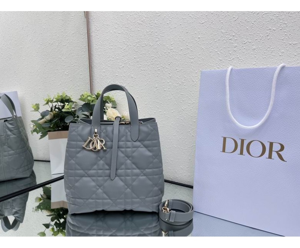 2024 Dior Toujours 031901 Series (1)