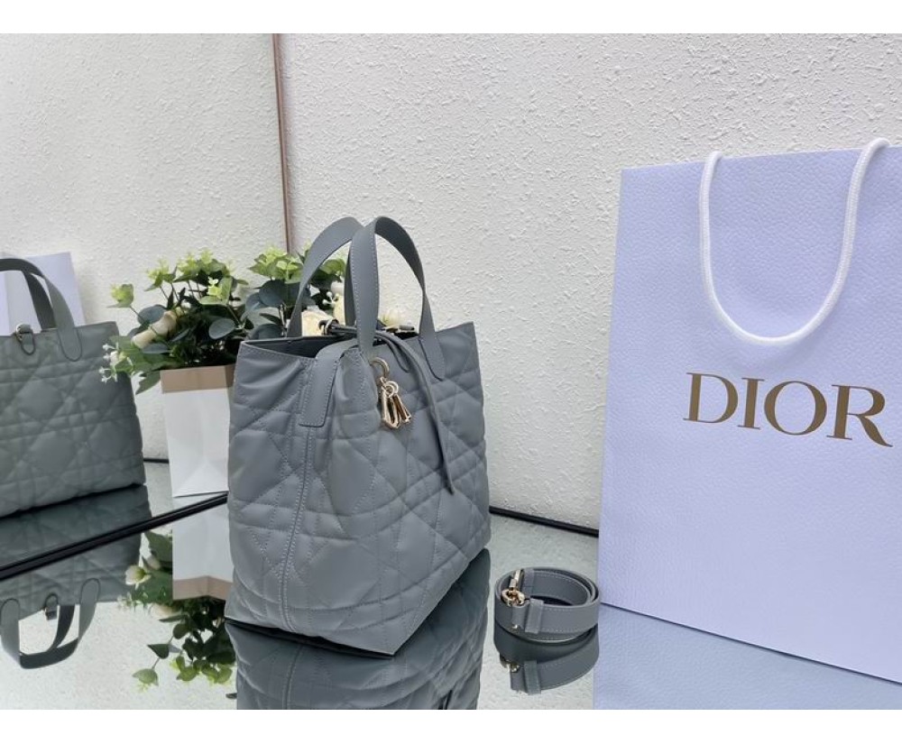 2024 Dior Toujours 031901 Series (1)