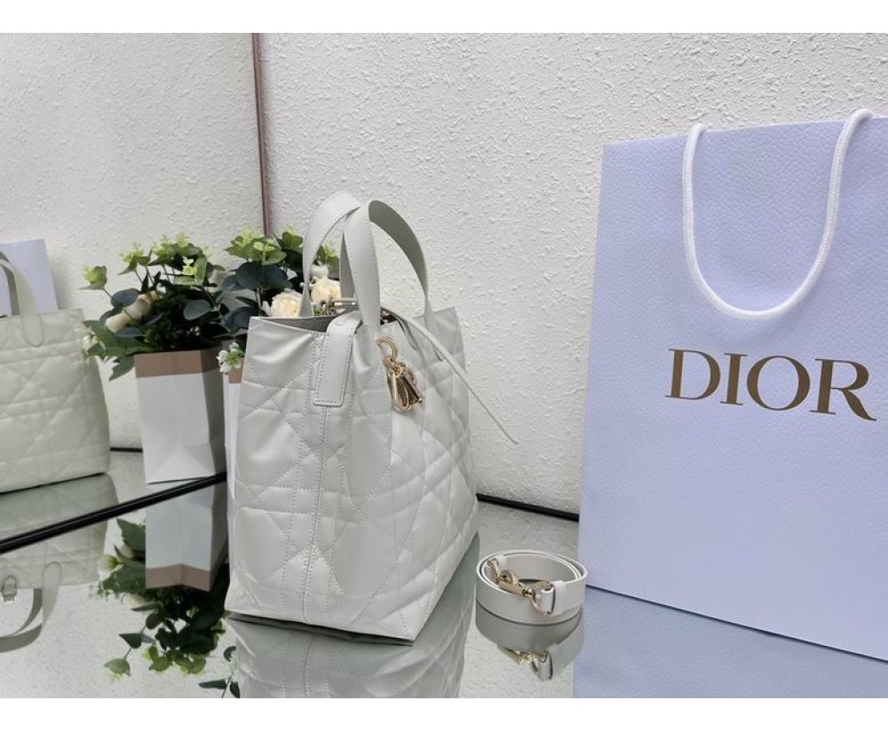 2024 Dior Toujours 031901 Series (2)