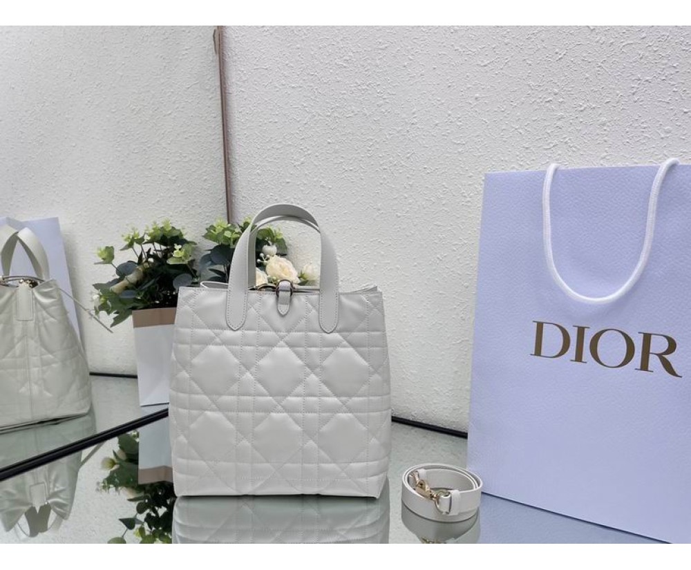 2024 Dior Toujours 031901 Series (2)