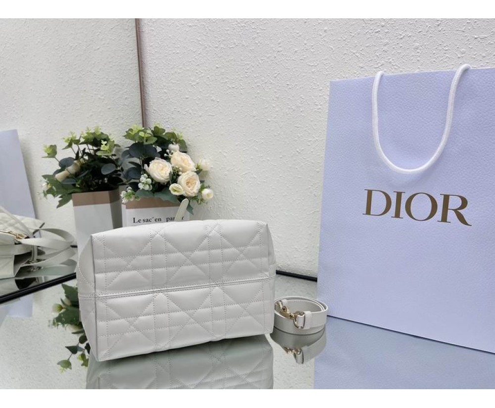 2024 Dior Toujours 031901 Series (2)