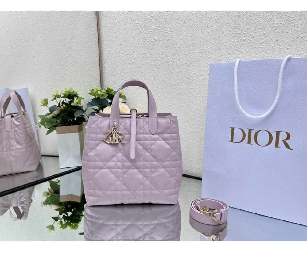 2024 Dior Toujours 031901 Series (3)