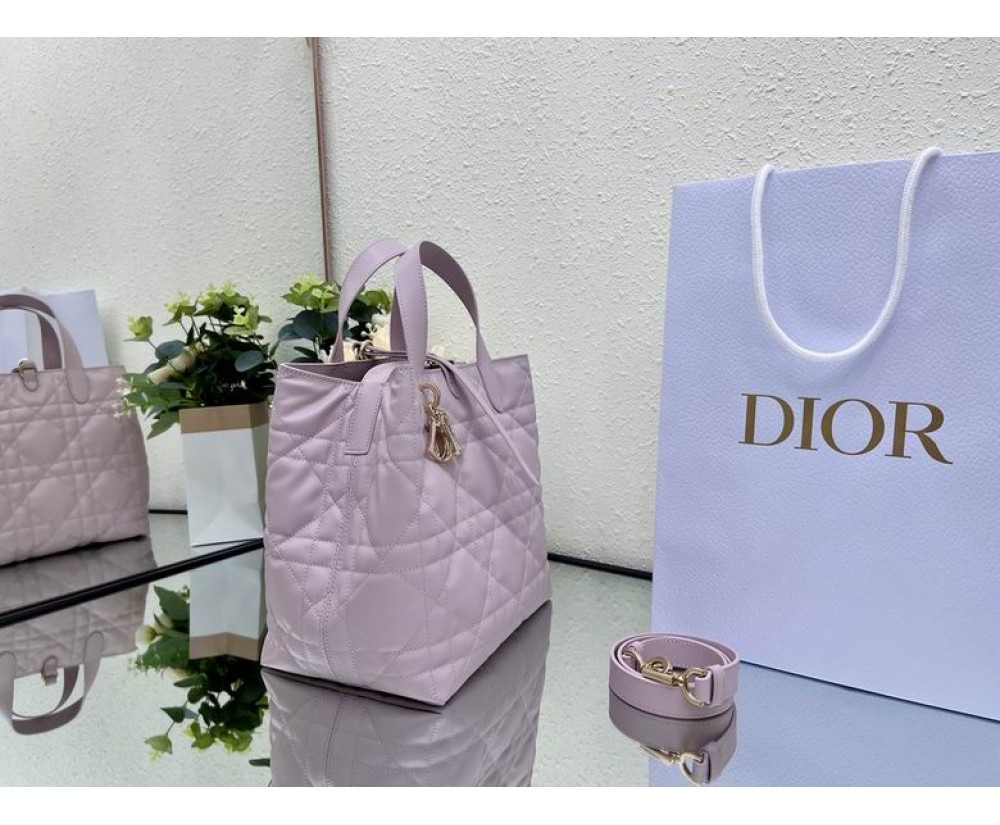 2024 Dior Toujours 031901 Series (3)