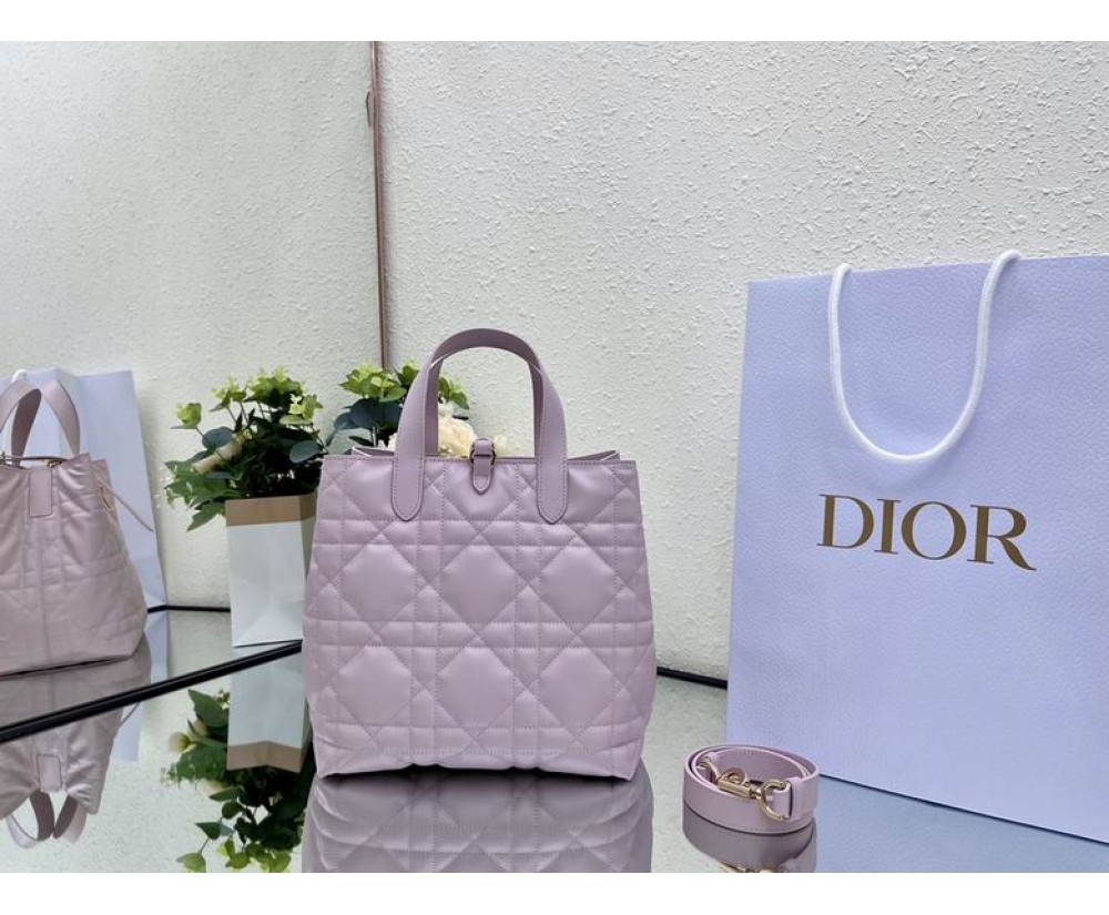 2024 Dior Toujours 031901 Series (3)